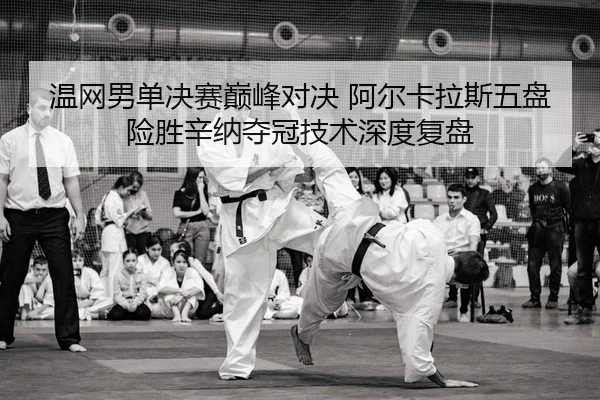 wen-wang-nan-dan-jue-sai-dian-feng-dui-jue-a-er-ka-la-si-wu-pan-xian-sheng-xin-na-duo-guan-ji-shu-shen-du-fu-pan-2-369.jpg