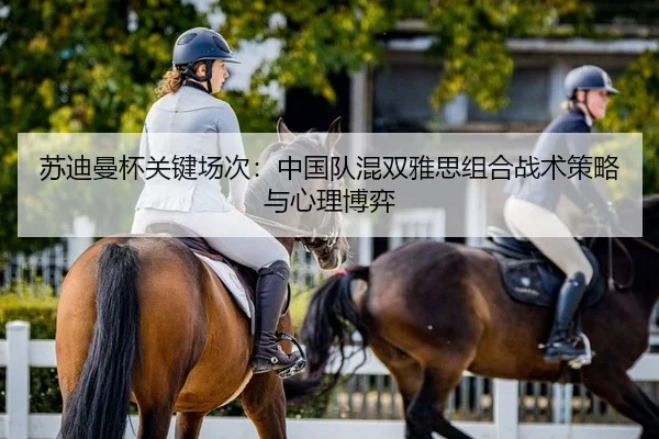 苏迪曼杯关键场次：中国队混双雅思组合战术策略与心理博弈